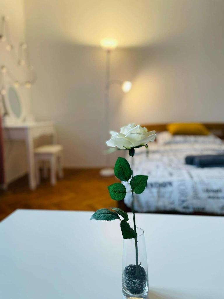 Lovely 2Bdr In Center, Wifi & Self-Check In 브라티슬라바 외부 사진